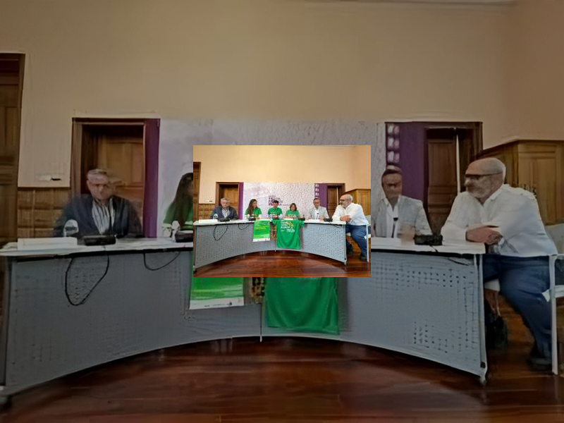 imagen Palencia se pondrá en marcha contra el cáncer en su tradicional carrera el domingo 2 de octubre