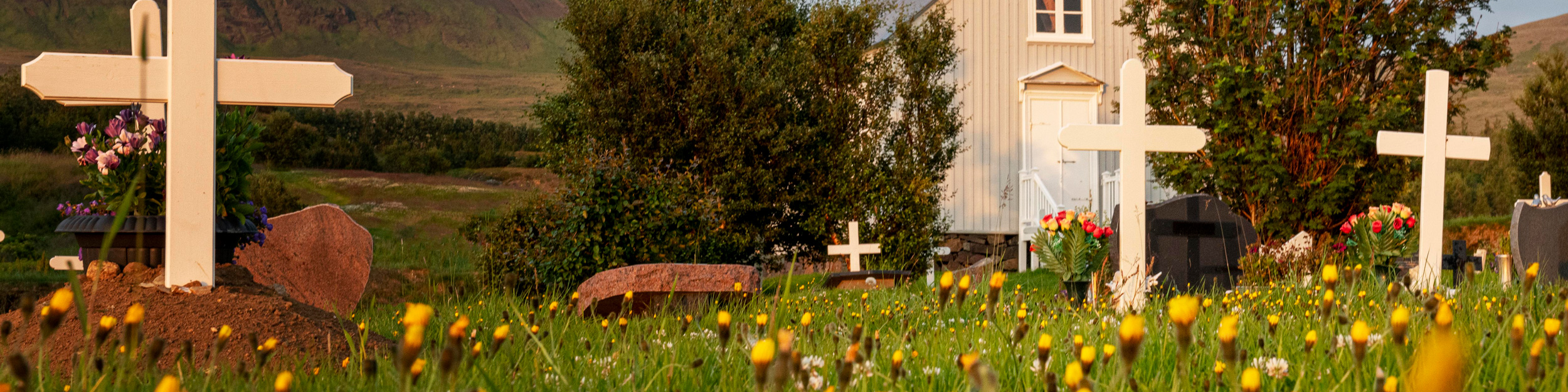 Cementerio Municipal