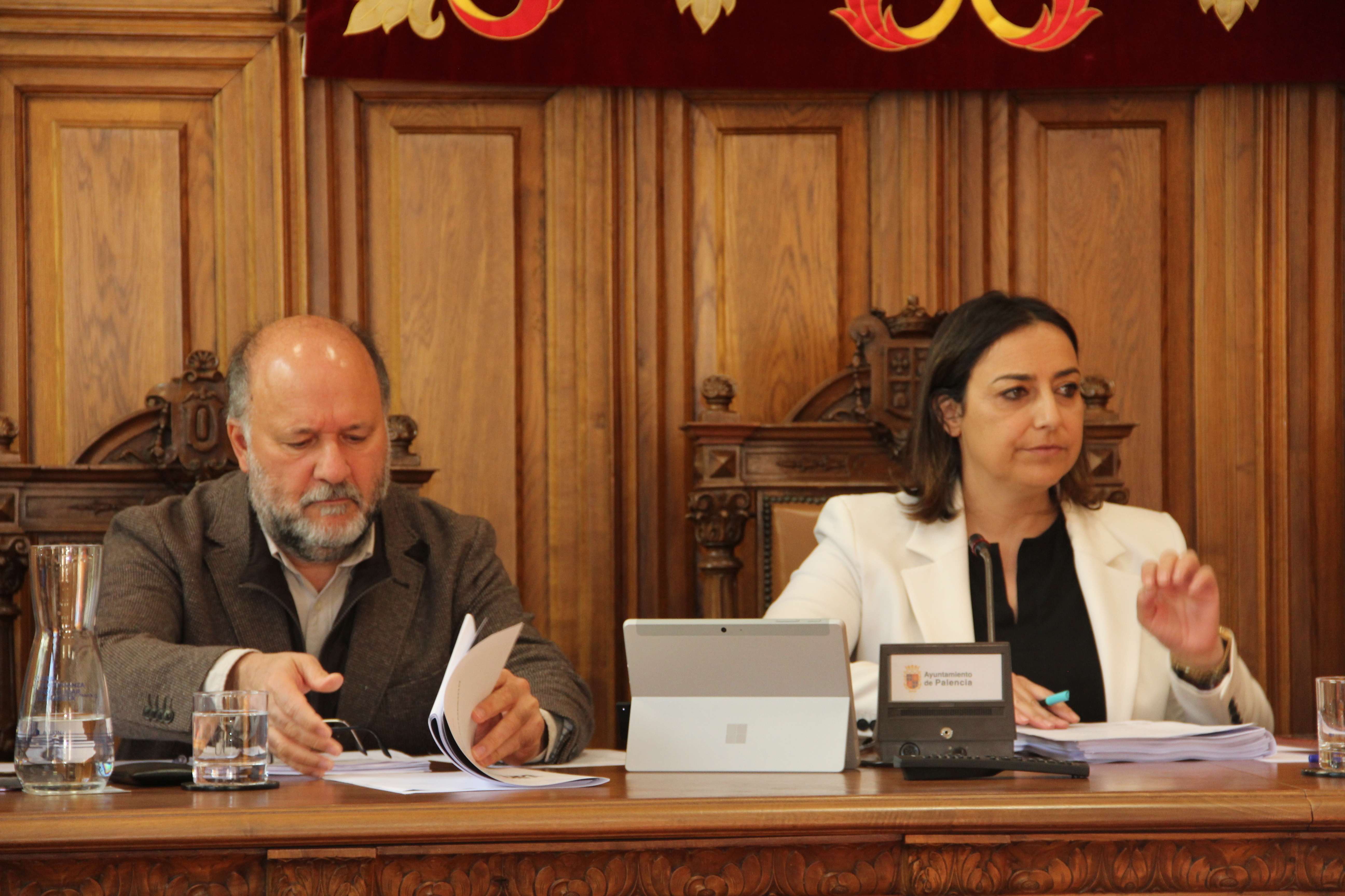 Un momento de la sesión plenaria.