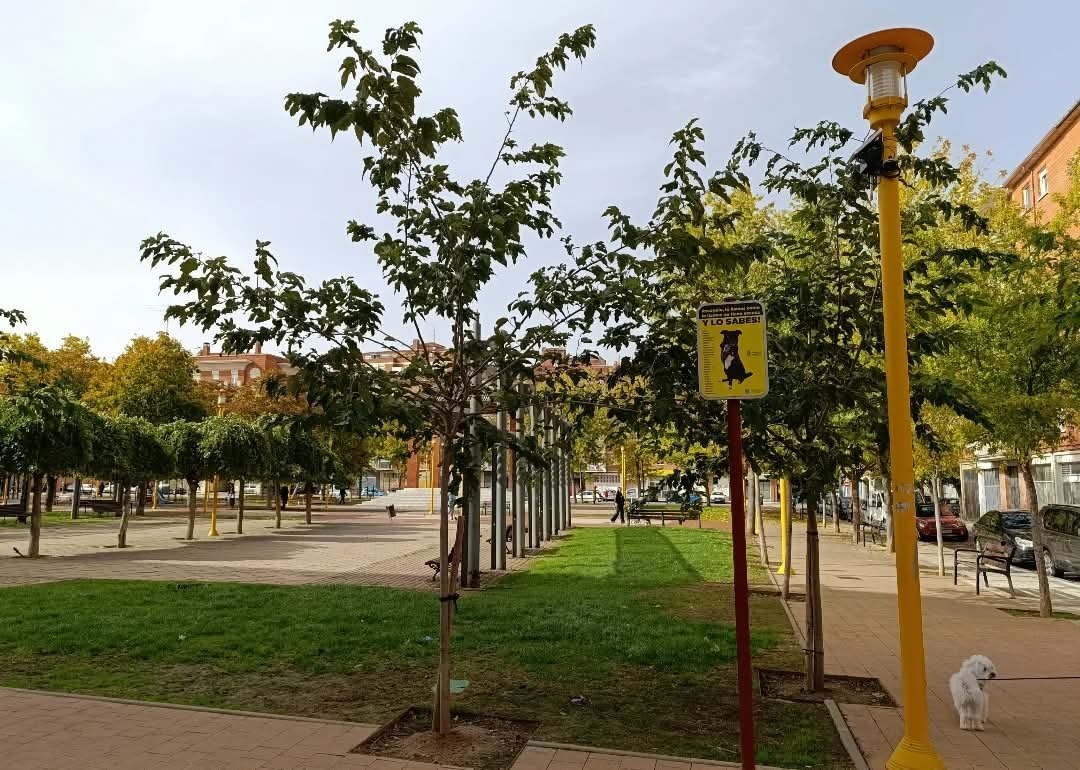 Cabe destacar que un 10% de las infracciones registradas corresponden a animales de razas consideradas potencialmente peligrosas.