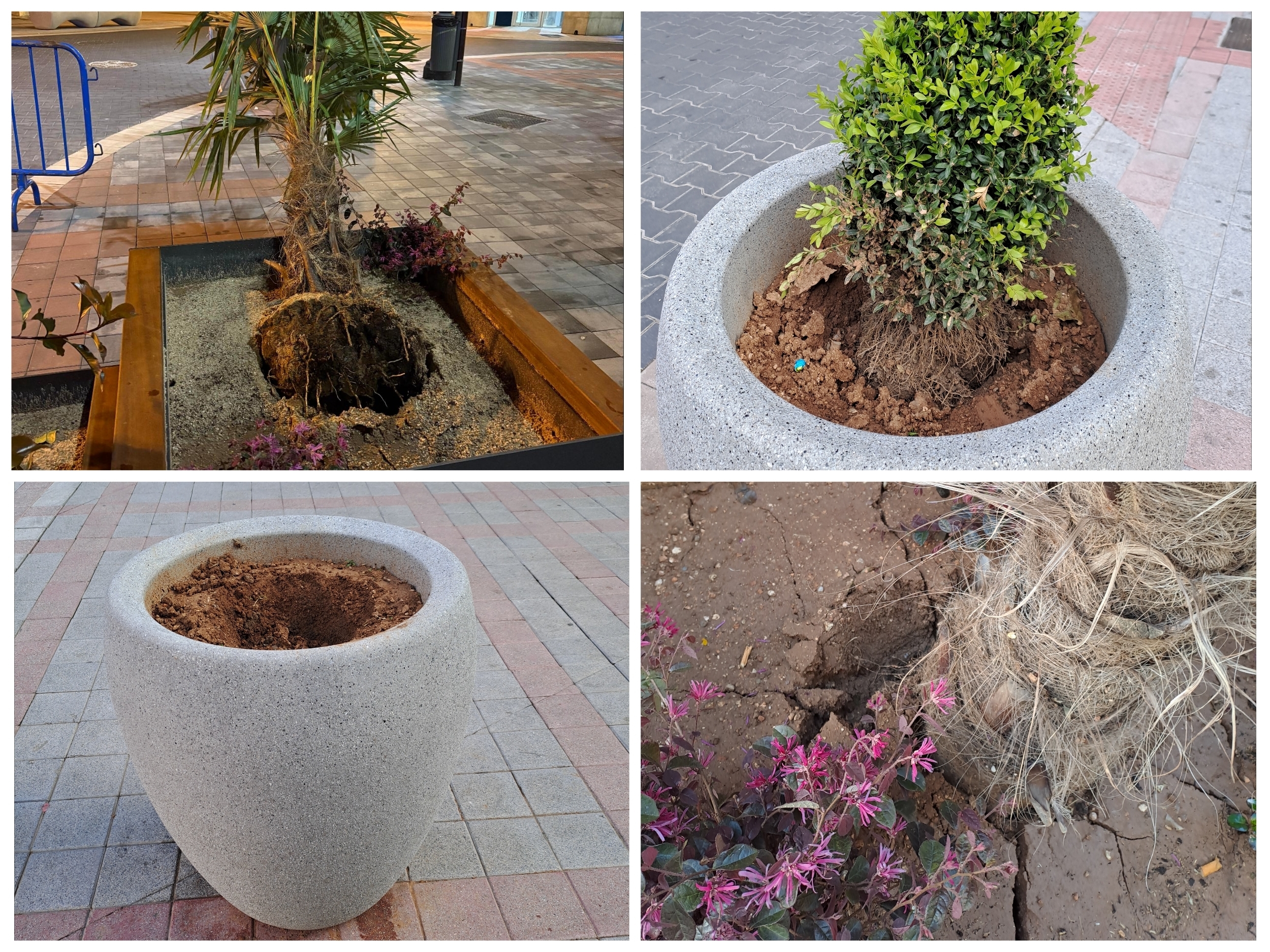 El Consistorio ha presentado denuncia ante la Comisaría de Policía.