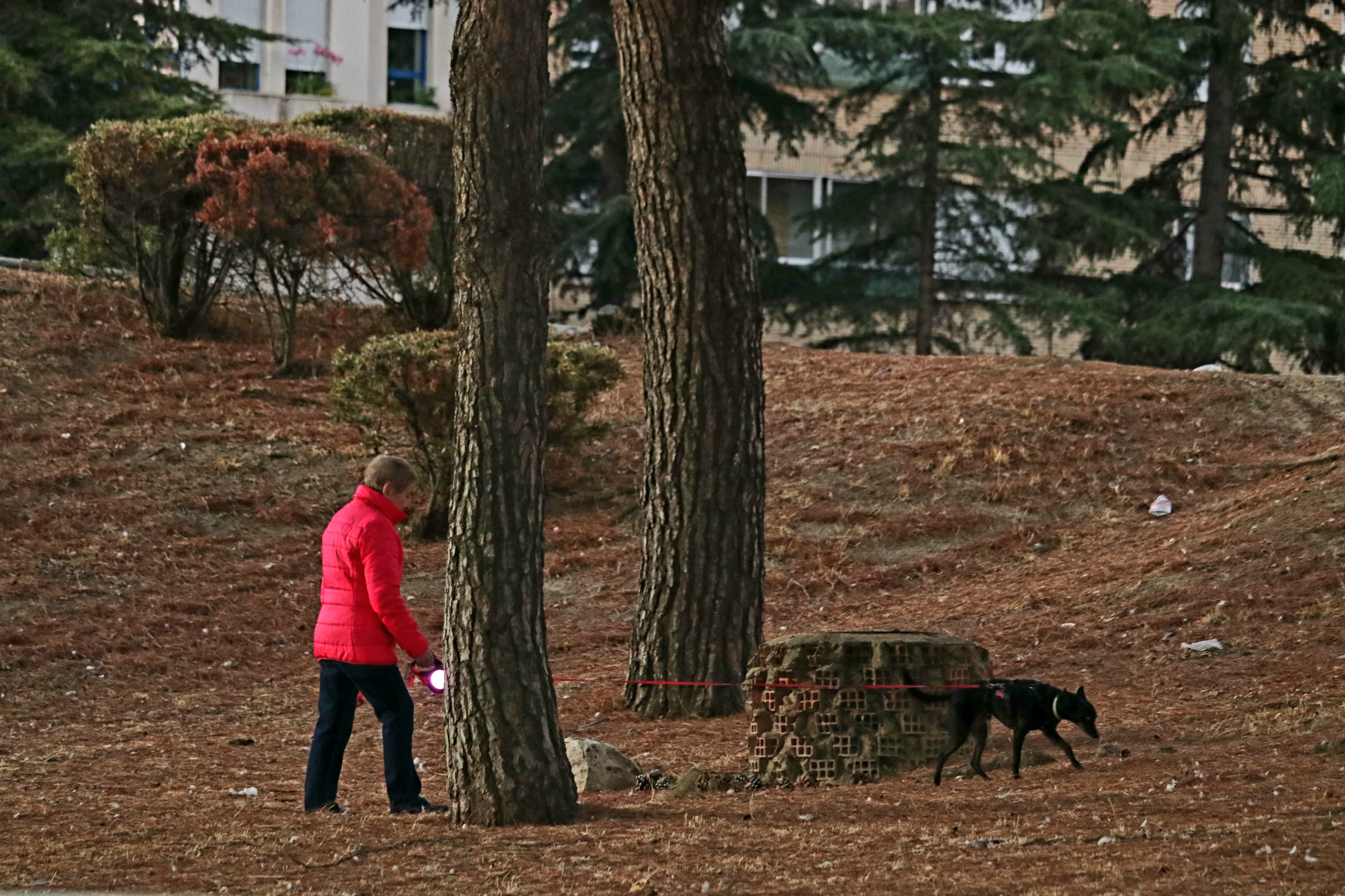 Entre ellas, destacan el no ajustarse a las zonas y horarios establecidos por la Ordenanza para tener el animal suelto o la carencia de identificación mediante microchip 