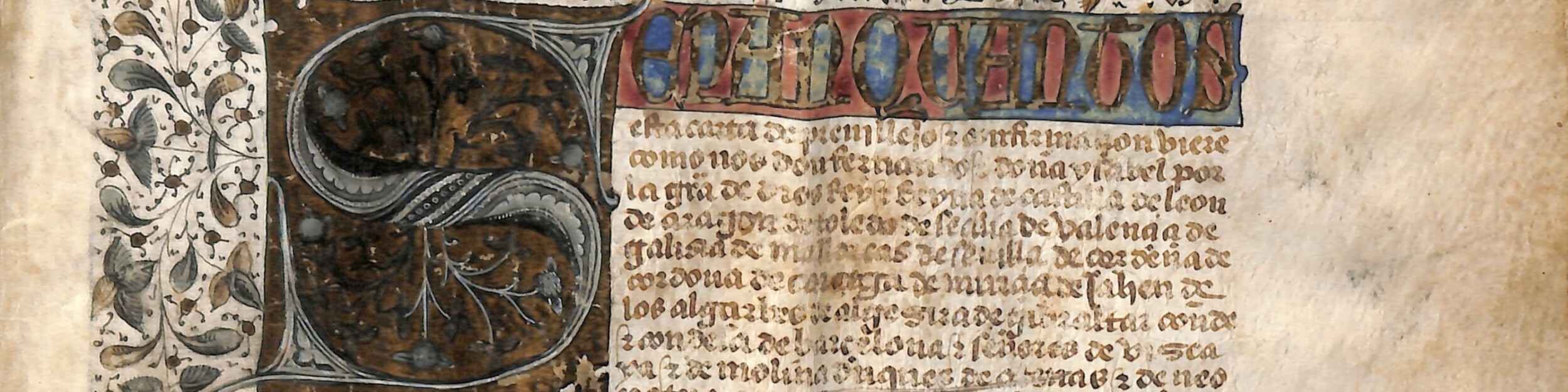 AMP_FA_Privilegios_N055_encabezamiento