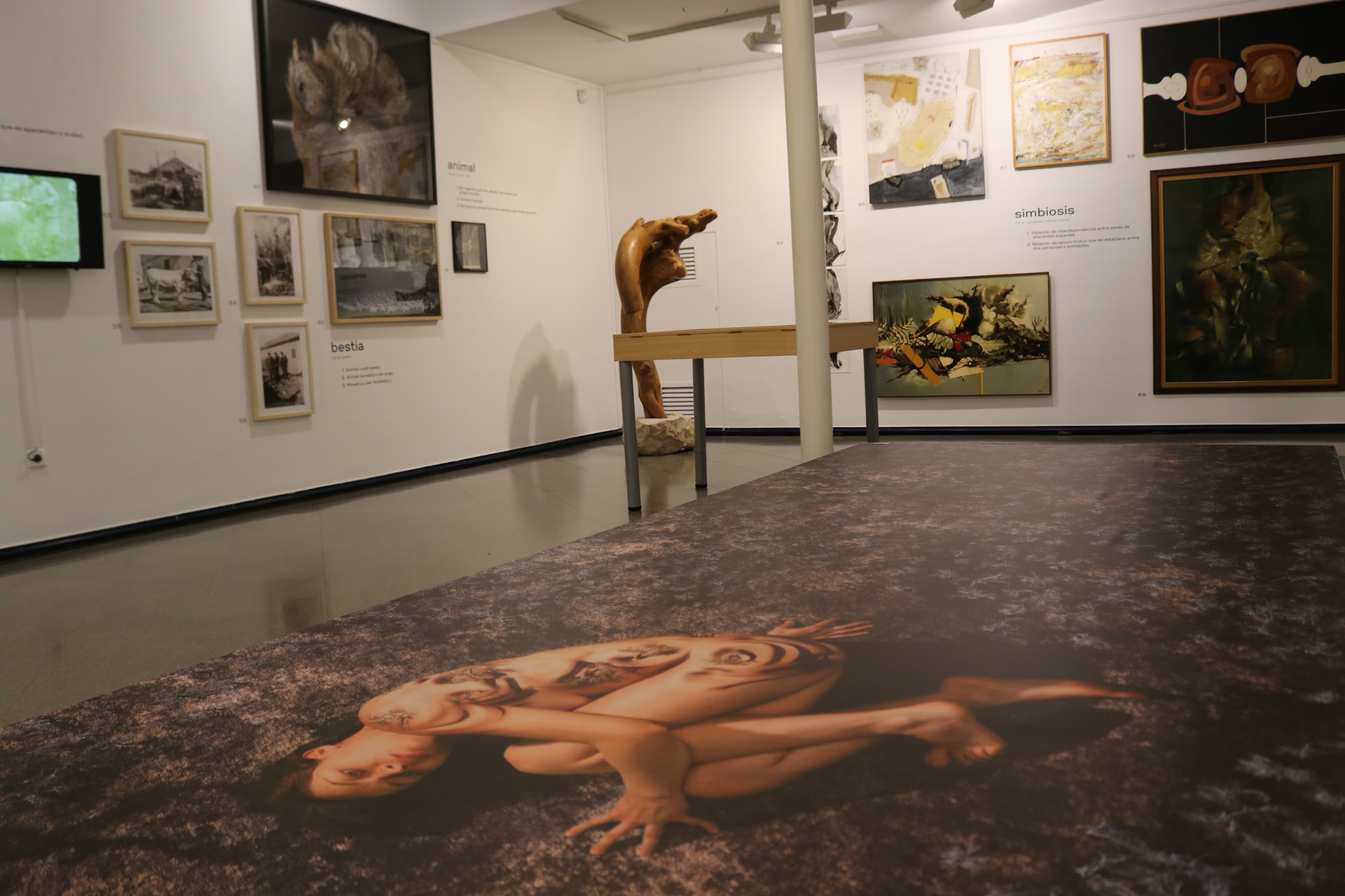 Estrena temporada con seis muestras dedicadas al paisaje, la sostenibilidad, el arte contemporáneo y la arquitectura de tierra.