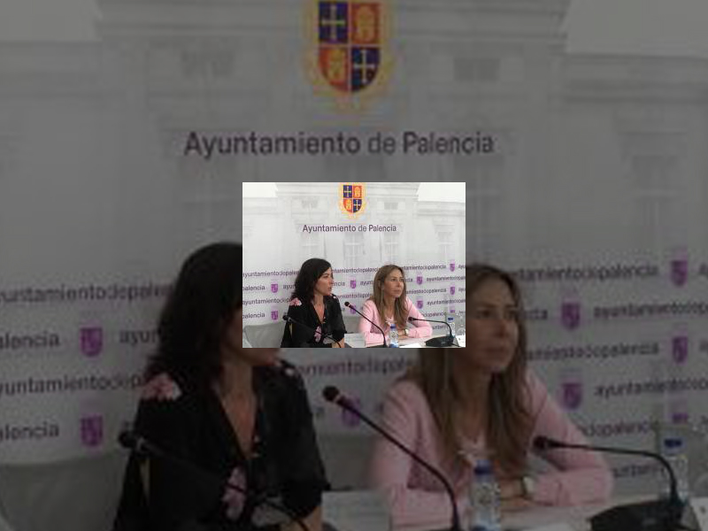 Imagen Presentación Palencia en Danza