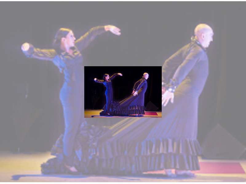 Imagen Choni Compañía Flamenca