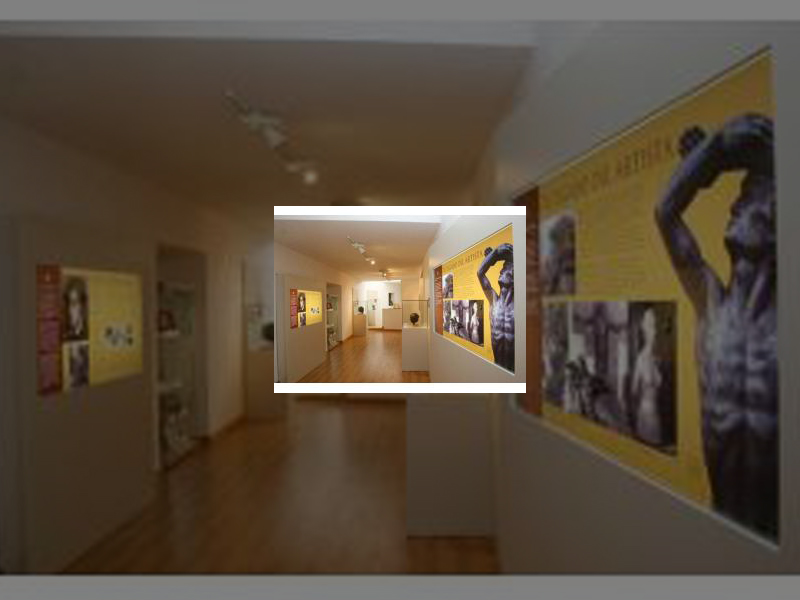 Imagen Los Centros Turísticos Municipales superan el número de visitantes del pasado año en un 2,26% al romper la barrera de los 36.800