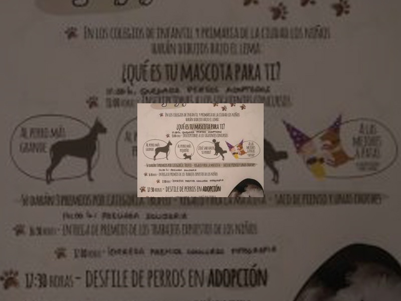 Imagen La empresa encargada de la gestión del Centro Municipal de Acogida de Animales organiza una Feria de Adopción para el próximo domingo día 30 de septiembre