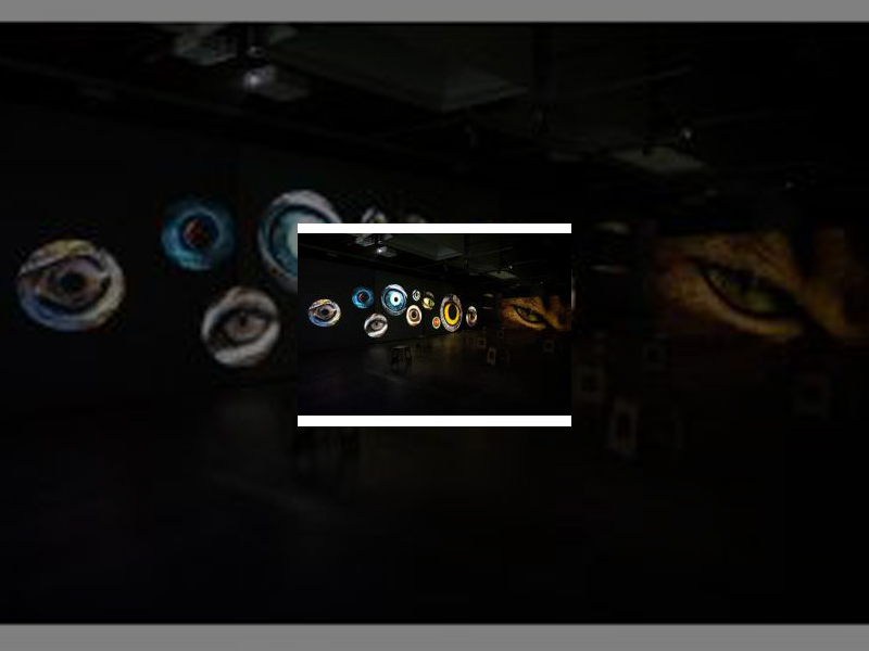 Imagen Los resultados del año 2021 pulverizan todos los récords de visitantes en los centros turísticos municipales al rozar los 48.300