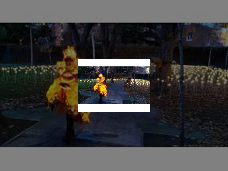 Imagen Alta participación en todas las actividades navideñas de la ciudad llegando a superar las 47.000 visitas en el Bosque Mágico de la Huerta de Guadián