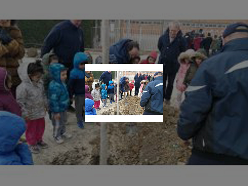 Imagen El Ayuntamiento celebra el Día Forestal Mundial con la plantación de una veintena de árboles en colaboración con casi 200 escolares de la capital