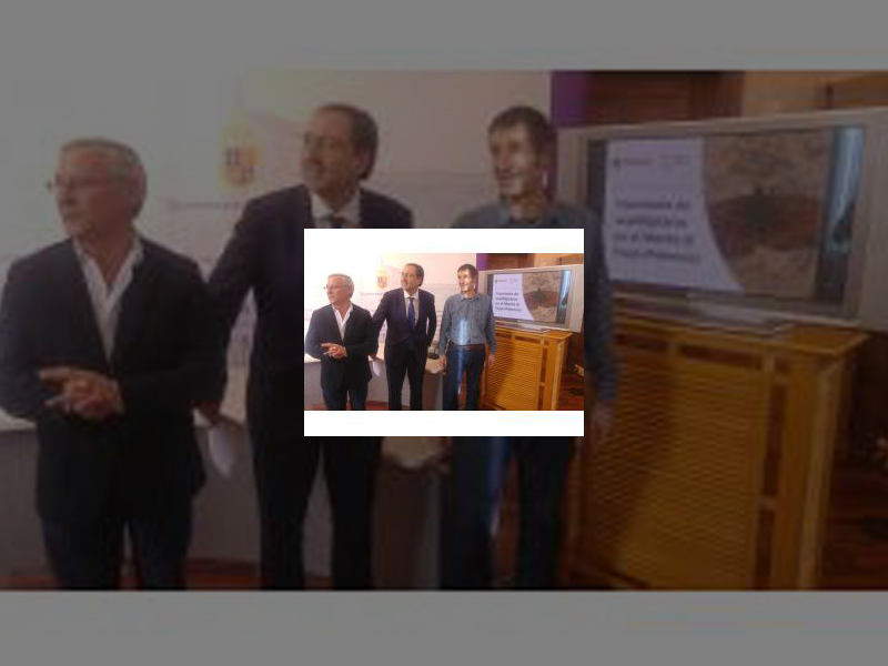 Imagen Un estudio sobre las mariposas en El Monte el Viejo constata que el &#039;pulmón verde&#039; de nuestra ciudad goza de muy buena salud