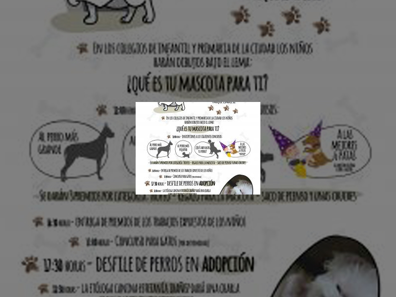 Imagen El Parque del Salón acogerá la I Feria de Adopción de Animales el próximo domingo 24 de septiembre