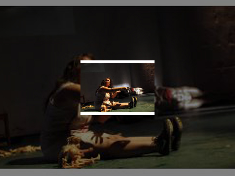 Imagen La compañía Pez Luna Teatro se suma a la programación del Festival de Teatro Ciudad de Palencia 2017