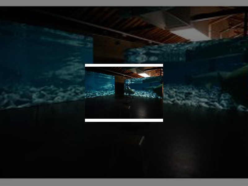 Imagen El Puente del Pilar acercó a más de 2.000 personas hasta los Centros Turísticos Municipales de la capital palentina