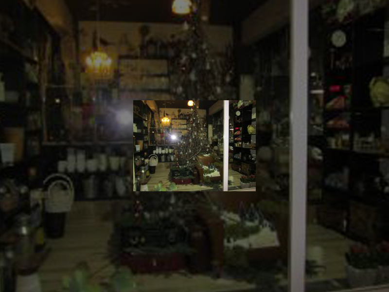 Imagen ​Sánchez Arte Floral se alza con el primer premio del Concurso de Escaparates Navideños 2015