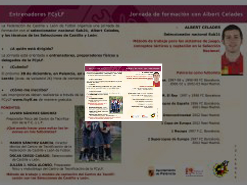 Imagen diptico-celades-2