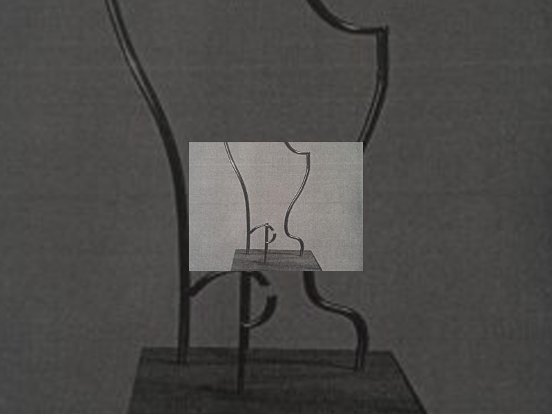 Imagen 20150609-131856