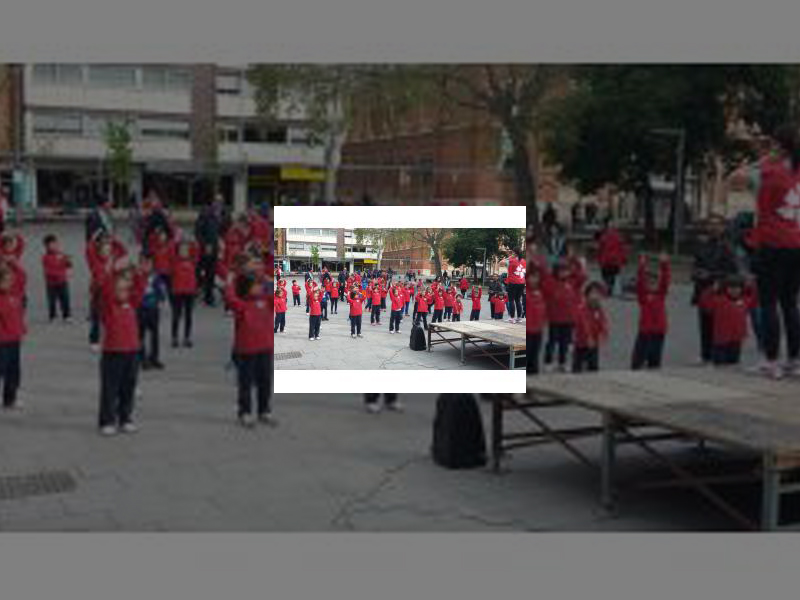 Imagen Cerca de un millar de escolares de 5 a 9 años han participado en el Día del Deporte en la Infancia enmarcado dentro del Programa THAO