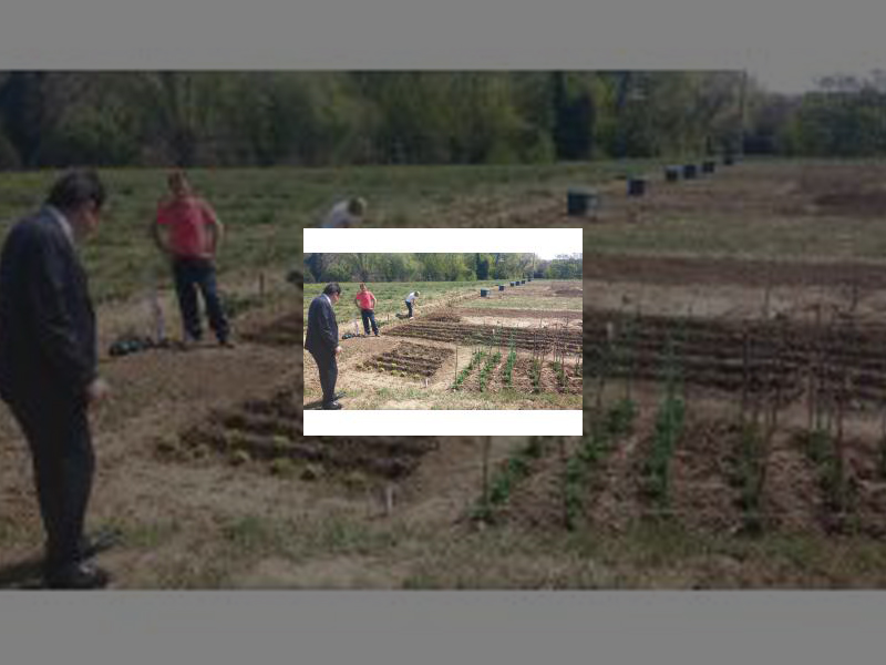 Imagen Alfonso Polanco visitó los Huertos Urbanos de la Finca Villa Luz