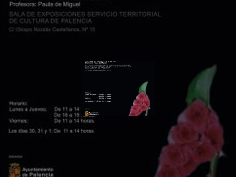 Imagen Los alumnos de dibujo y pintura del Centro Social del Carmen organizan una exposición en el Servicio Territorial de Cultura