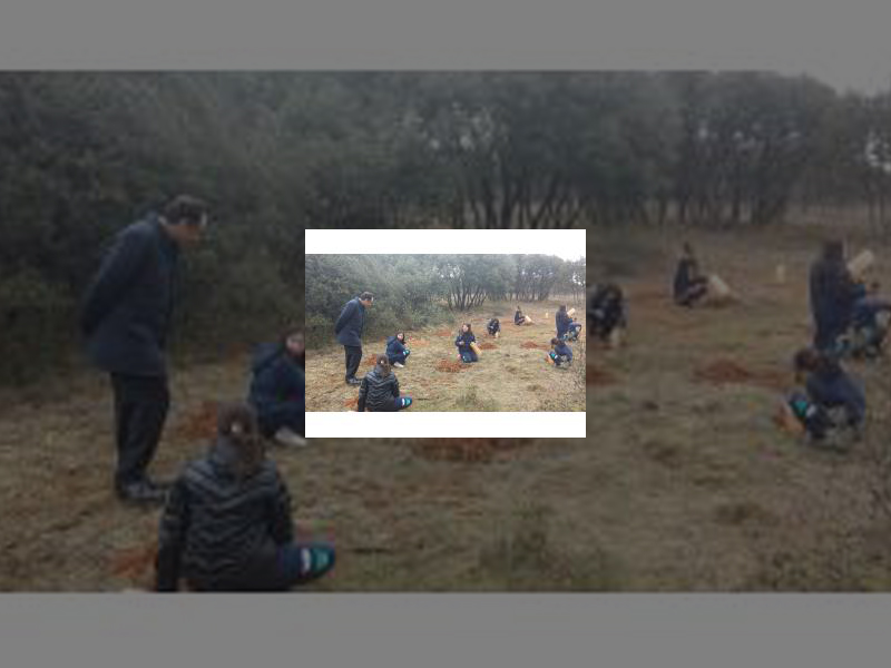 Imagen Ayuntamiento y Campus de La Yutera unen de nuevo fuerzas para celebrar el Día del Árbol y sensibilizar sobre la necesidad de su protección y cuidado