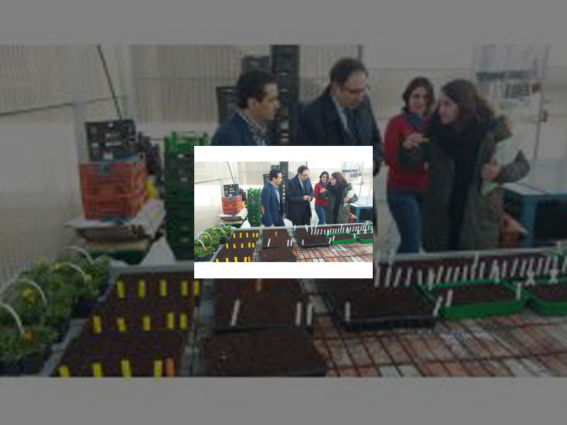 Imagen El Ayuntamiento crea en el EFIDES unos Huertos Urbanos con carácter didáctico para todos los vecinos de la Zona URBAN