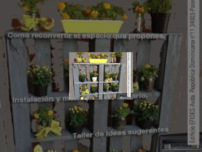 Imagen El CRAS acoge esta semana un “Taller sobre recuperación de palets para crear mobiliario”