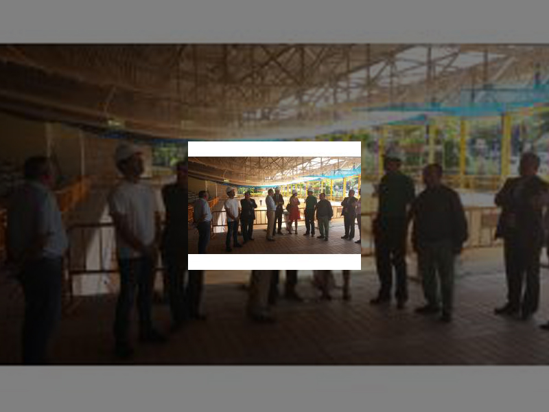 Imagen 20140715-114603