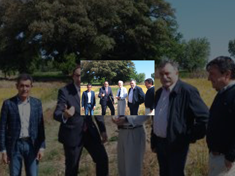 Imagen Ayuntamiento y Junta reivindican el Día Mundial del Medio Ambiente junto a la Encina de Grijondo incluida en el Catálogo de Especímenes Vegetales