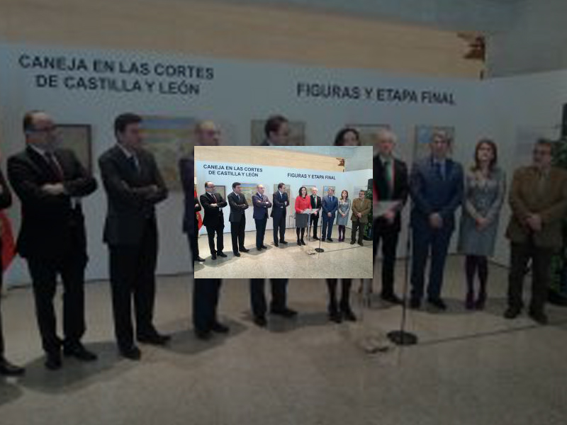 Imagen 20140121-120919