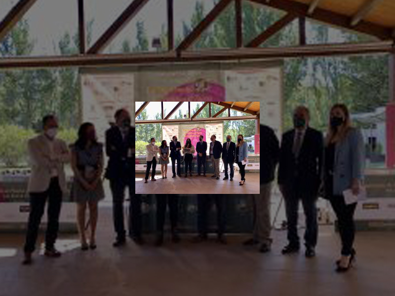 Imagen 50 cocineros compiten en Palencia por el mejor pincho de Castilla y León