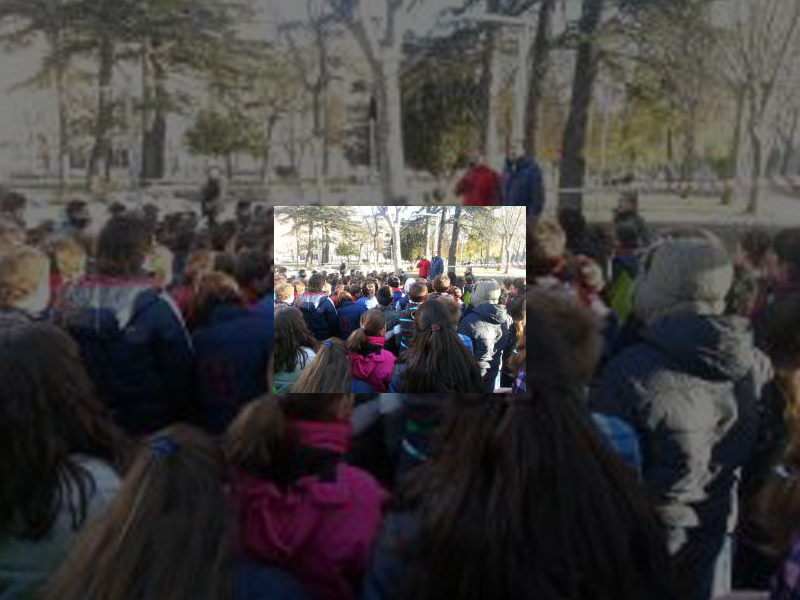 Imagen 20131211-100930