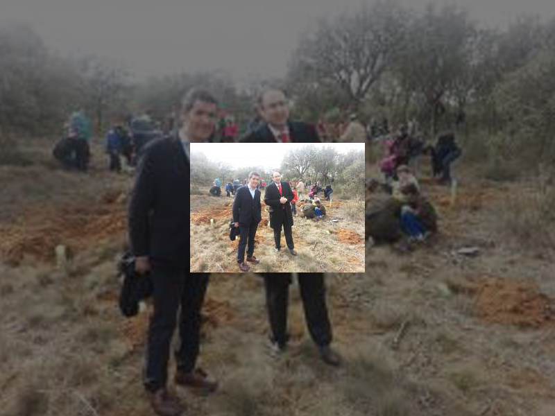 Imagen 20130321-113421