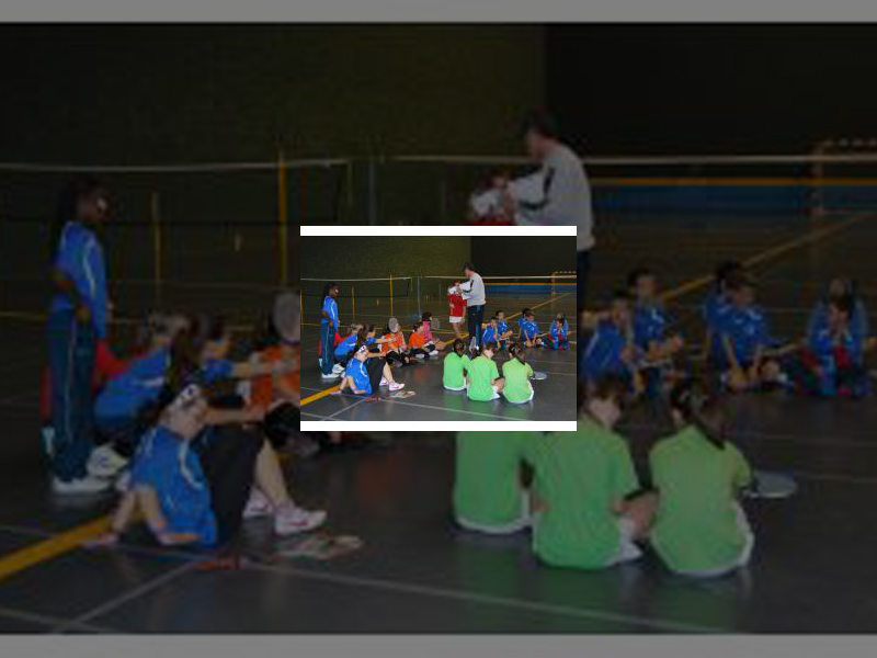 Imagen escolares-badminton