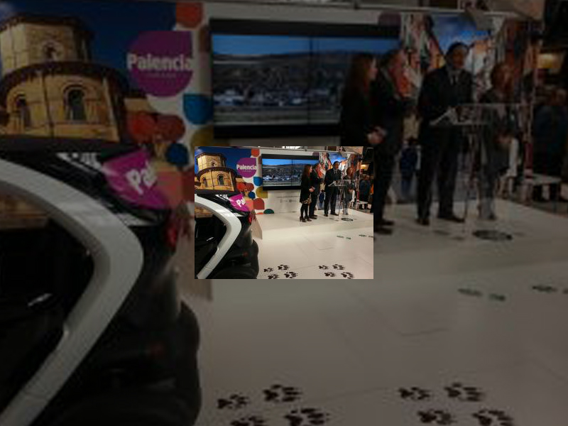 Imagen 20121122-125223