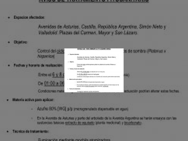 Imagen El Ayuntamiento pone en marcha un tratamiento fitosanitario contra el oídio del plátano sombra