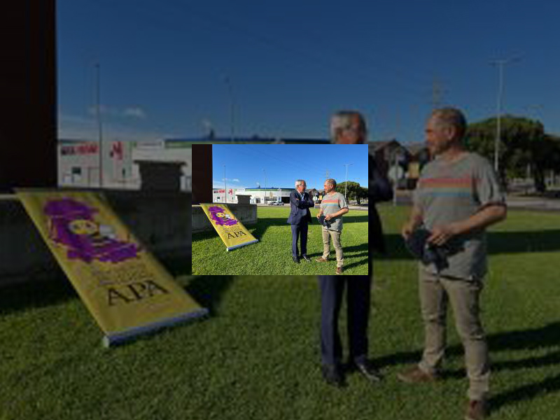 Imagen Los caza enjambres de la ciudad ya están ocupados por colmenas