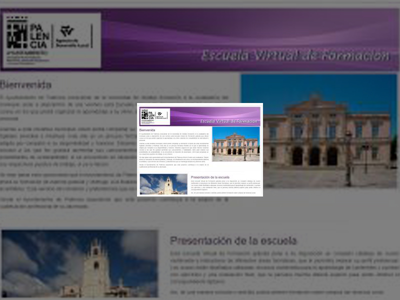 Imagen Más de medio millar de palentinos están disfrutando ya de alguno de los 119 cursos ofrecidos por la Escuela de formación online promovida por el Ayuntamiento que estará disponible hasta el 30 de septiembre de 2021