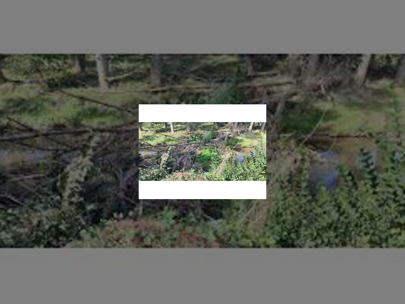 Imagen La Junta de Gobierno Local aprueba inversiones por más de 1,5 millones de euros con cargo a los Fondos Europeos de Desarrollo Regional 