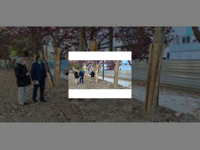 Imagen La imagen, equipamiento y accesibilidad del Parque de Los Jardinillos mejorará sustancialmente gracias al proyecto de remodelación financiado por los Fondos Europeos de Desarrollo Regional y Junta de Castilla y León 