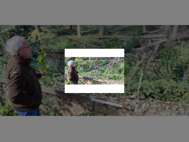 Imagen La Concejalía de Medio Ambiente iniciará en dos semanas su Plan de Recuperación del Río Carrión con una actuación de urgencia valorada en 39.000 euros