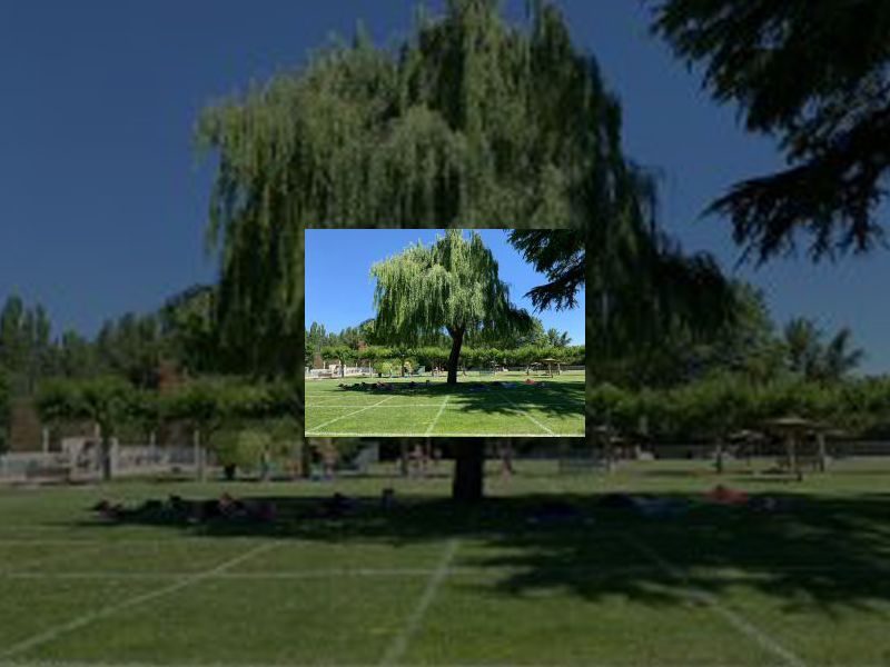 Imagen El número de bonos para acudir a las piscinas municipales de verano ascie