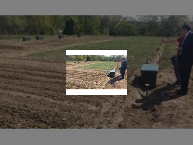 Imagen huertos urbanos municipales