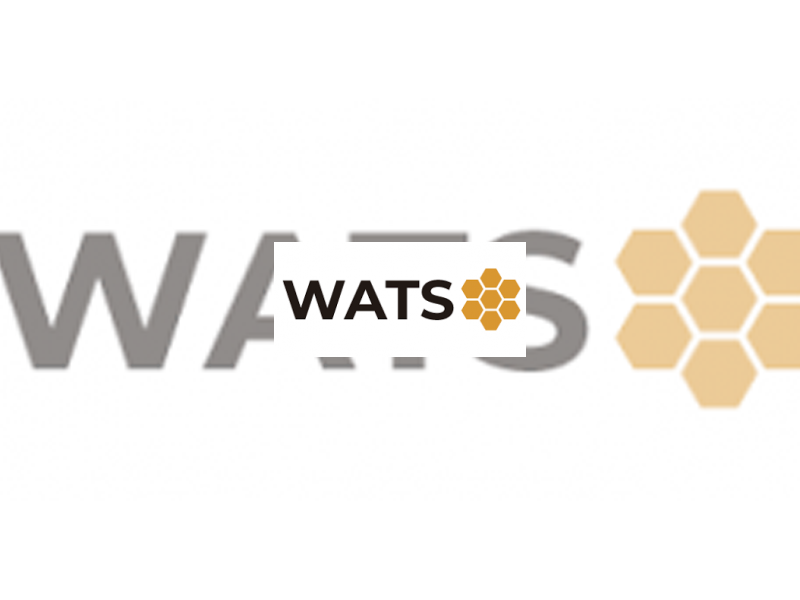 Imagen La segunda sesión del curso para la ‘Erradicación de la violencia en el deporte’ promovido por PMD y WATS Team se celebrará el próximo día 15 de abril de forma online