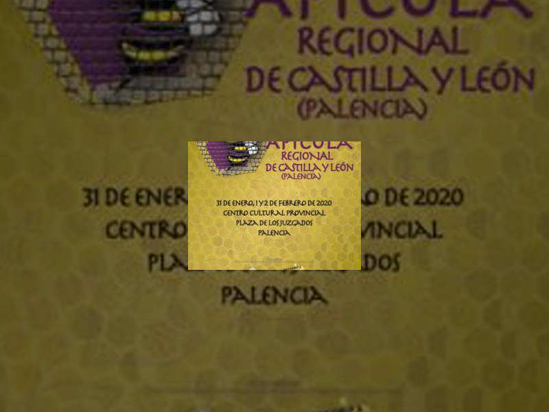 Imagen La Plaza de los Juzgados servirá de punto de partida para la primera edición de la Feria Apícola de Castilla y León que se celebrará durante los días 31 de enero a 2 de febrero