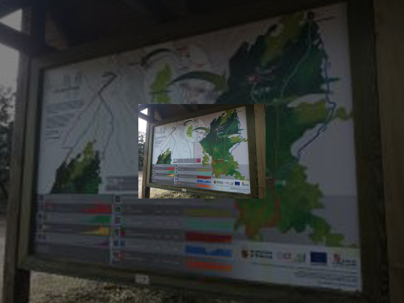 Imagen 20191125-103812