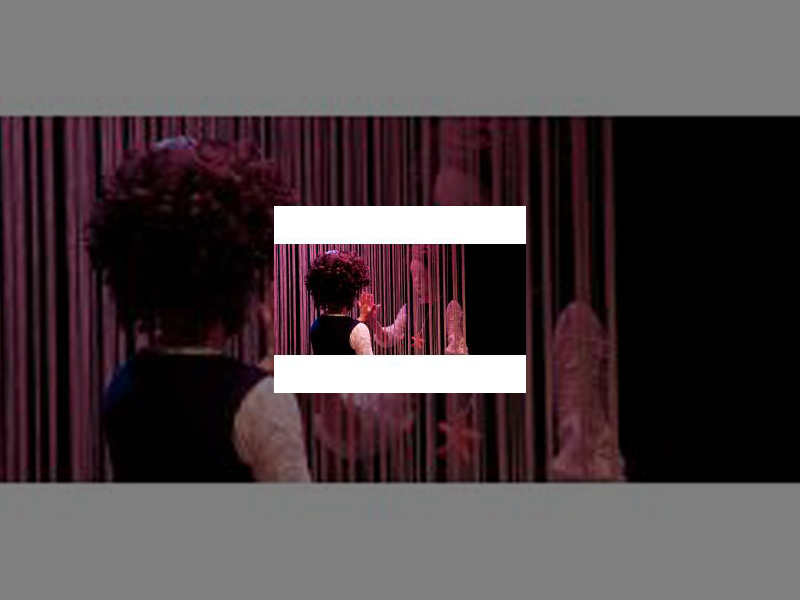 Imagen La compañía Marie de Jongh presenta en el Principal ‘Estrella’, Premio Feten 2018 al Mejor Espacio Escénico