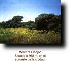 Imagen Monte "El Viejo"