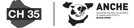 Imagen logo-2022